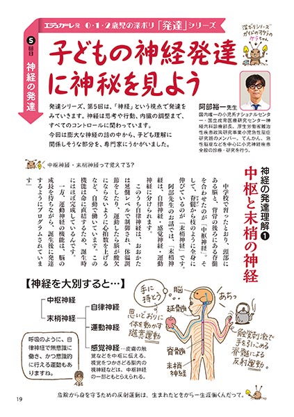 0・1・2歳児の深ボリ「発達」シリーズ 5回目：神経の発達 子どもの神経発達に神秘を見よう（イラスト…おおえだけいこ）