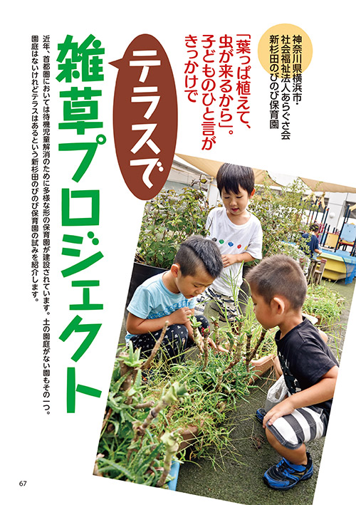 「葉っぱ植えて、虫が来るから」。子とものひと言がきっかけで テラスで雑草プロジェクト